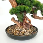 Dekorasi Pajangan Artifical Bonsai Indoor Decoration